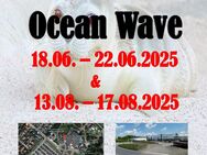 Kunsthandwerker- und Bauernmarkt Norddeich Ocean Wave August 2025 - Weener