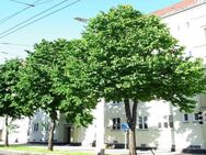 Eutritzsch - Studenten aufgepasst, günstige Singlewohnung mit tollem Grundriss und Tageslichtbad - Leipzig