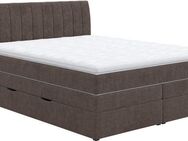 COTTA Boxspringbett Shark inkl. Bettkasten und Topper, erhältlich in den Breiten 140x200cm, 160x200cm und 180x200cm