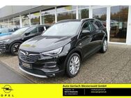 Opel Grandland 1.6 Turbo EU6d-T Ultimate Autom. Sitzklima 360 -Kamera Navi Soundsystem 360 Kamera - Niederahr