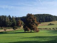 Top Lage in der Fränkischen Schweiz - Gößweinstein