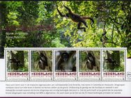 Niederlande: MiNr. 05.11.2018, "Gefährdete Säugetiere 2018: Brauner Affe", Satz (Block), postfrisch - Brandenburg (Havel)