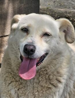 Omi Penny- wer hat mich lieb? - Nürnberg