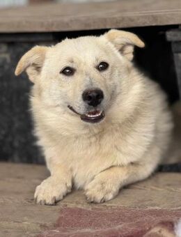 Filu, der kleine Eisbär 🐾 - Elsdorf (Nordrhein-Westfalen)