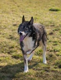 COLLIN - neugierig die Momente genießen - Overath
