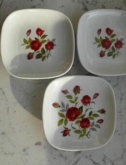 3 Porzellan Teller weiß mit Rosen-Dekor 9,8 x 9,8 cm zus. 3,- - Flensburg