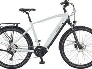 Prophete E-Bike Trekkingrad Entdecker 5.0, 10 Gang Shimano Deore Schaltwerk, Kettenschaltung, Mittelmotor, 720 Wh