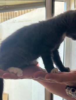 BKH Kitte - Baesweiler