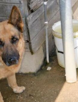 Marko sucht eigene Familie - Neuss