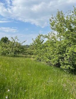Traumhafte Streuobstwiese in Pforzheim, OT Würm. 3.720 m² - Pforzheim