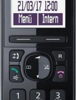 Panasonic KX-TGQ200 IP Schnurloses Mobilteil (mit HD-Klangqualität)