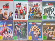 Big Bang Theory - Staffel 1 bis 8 - Kreuth