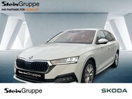 Skoda Octavia, 2.0 TDI Combi First Edition, Jahr 2020 - Gummersbach