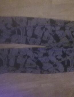 Mickey Mouse Hose - Bergisch Gladbach