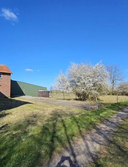 Historischer Resthof mit 242 m² WF, ca. 1150 m² Nutzfläche auf ca. 3,5 ha Land - Haselund
