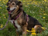Emely hat viel durchgemacht - Brunstorf