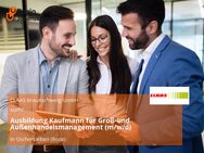 Ausbildung Kaufmann für Groß-und Außenhandelsmanagement (m/w/d) - Oschersleben (Bode)