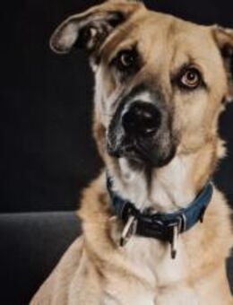 Gibst du Max eine Chance? - München