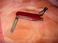 Nagelfeile mit Schere klappbar - Friedrichsdorf