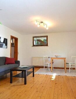 Schöne, ruhiggelegene 2 Zimmer Wohnung in Hausen im Wiesental - Hausen (Wiesental)
