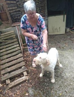 Nelly - in größter NOT - Würzburg