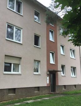 Ihr neues Zuhause: ansprechende 3-Zimmer-Wohnung - Kassel
