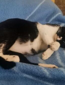 Muriel wartet schon sooo lange! - Aichwald