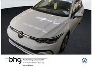 VW Golf, 1.5 TSI Life Vorder H, Jahr 2023 - Reutlingen
