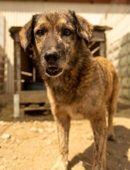 Beghei lieber Senior ...es eilt - Kallmünz