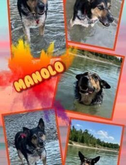 Manolo wartet in München! - Nürnberg