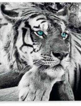 Reinders! Wandbild Tigerblick Wandbild Tiger - Raubtier - Wandbild Wohnzimmer - Wandbild