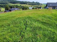 ERSTBEBAUUNG IM NEUBAUGEBIET - Schankweiler