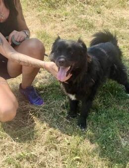 Soziale JESSIE = bereit für ihr GLÜCK ♥️ - München