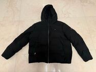 Tommy Hilfiger Winterjacke Herren Größe XL - Lingen (Ems)