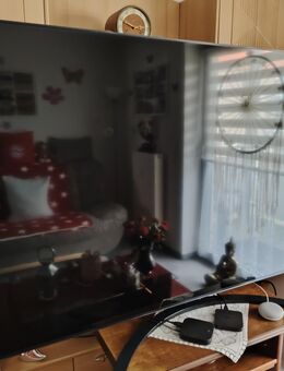 LG 75 Zoll - Dessau-Roßlau