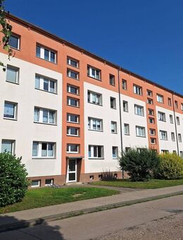 Freie 3-Zimmer-Eigentumswohnung mit Süd-West-Balkon im Alten Ostseeviertel - Greifswald