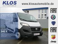 Fiat Ducato, 33 L2HKaWa 140PS MJET E6D TECHNO CITY FREIGHT, Jahr 2024 - Kirn