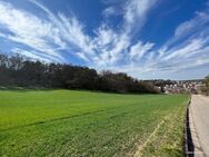 "Wohnen in sonniger Randlage mit Blick in die Natur" Moderne DHH in Weissach - Weissach