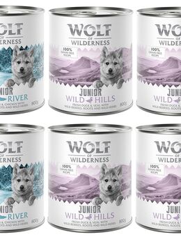 Wolf of Wilderness JUNIOR - Mixpaket - 6 x 800 g: 4x Ente & Kalb, 2x Huhn & Lachs