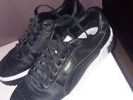 Puma Turnschuhe - Kaltenborn