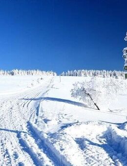 Dreiraumwohnung mit Panoramablick, Fahrstuhl + Balkon und Erstbezug nach Modernisierung - Oberwiesenthal