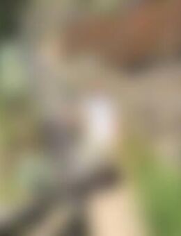 Chr*** - Weißenbrunn