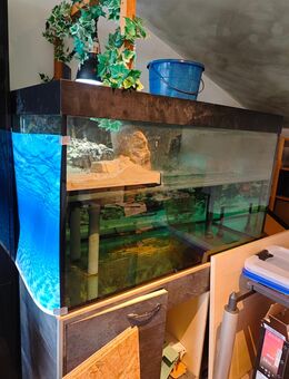 750-800l Aquarium abzugeben - Stamsried