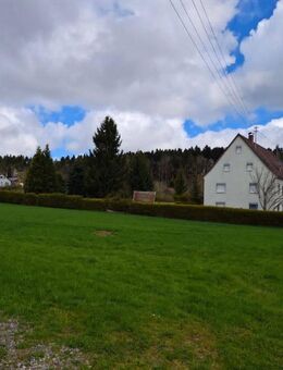 Idyll für Menschen & Tiere & große, bunte Ideen & reiche Chancen - Rottweil
