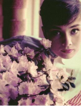 AK Postkarte Audrey Hepburn Hollywood 1953 - Spraitbach