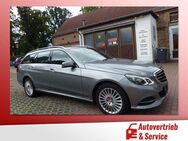 Mercedes-Benz E 220 CDi T BlueEfficienncy Elegance Autom. - Potsdam