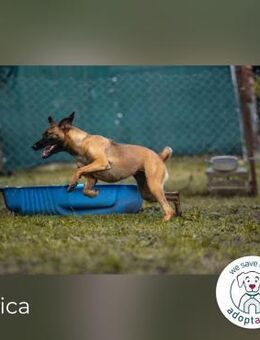 Julica: Volle Kraft voraus! - Kirchzell