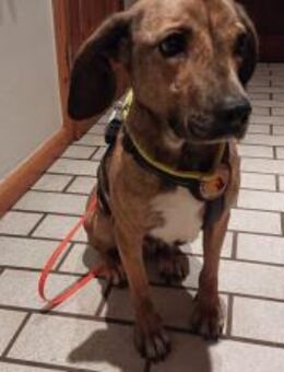 Wer lockt Tabby aus ihrem Schneckenhaus? - München