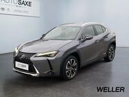 Lexus UX 250h, Luxury Line, Jahr 2019 - Leipzig Alt-West