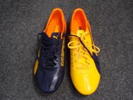 Fußballschuhe PUMA Evospeed - Castrop-Rauxel